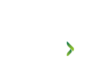 DreamHack Summer logo