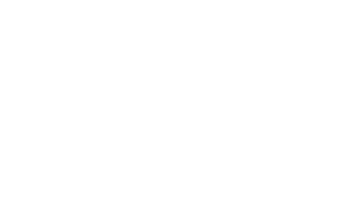 FAMEX logo