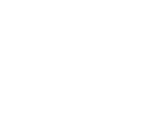 HiFi & High End Show logo