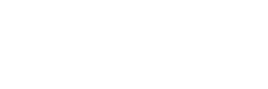 Secutech Vietnam logo