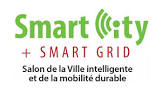 Smart City + Smart Grid logo